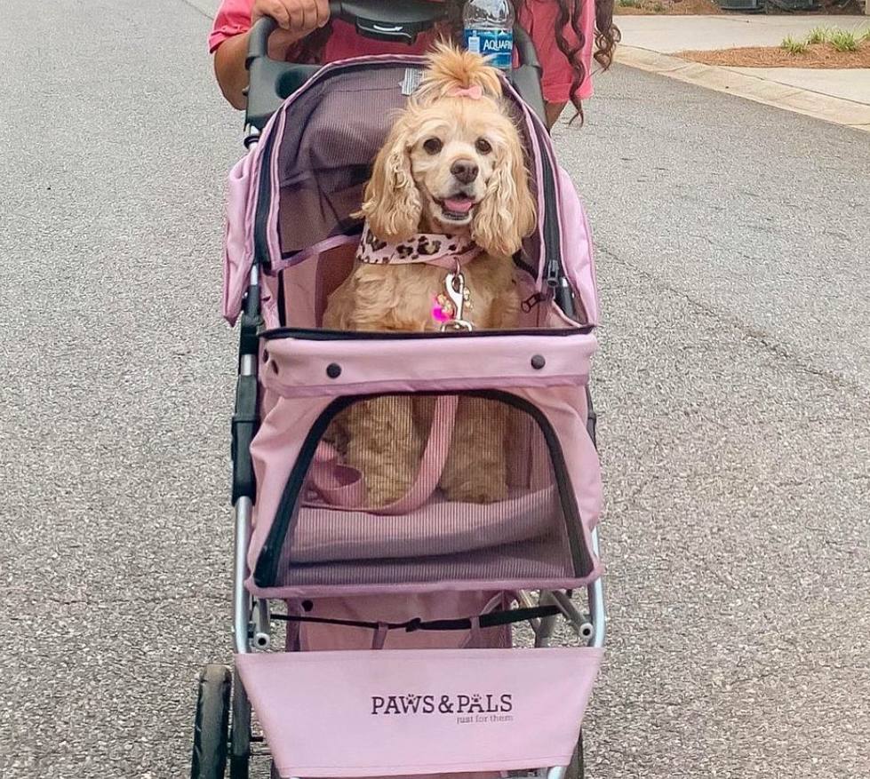 photo_2025-11-13 10.51.12